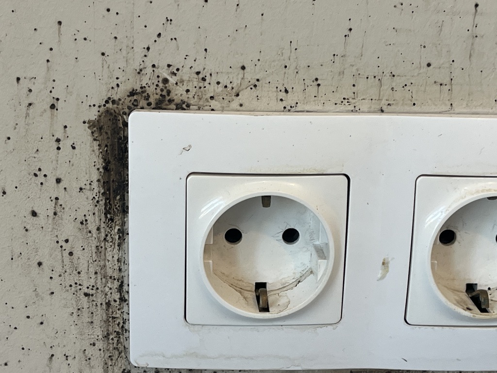 Pest Evidence Detection